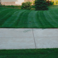 lawn